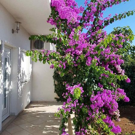Bugenvilija Apartment Šibenik Exteriér fotografie