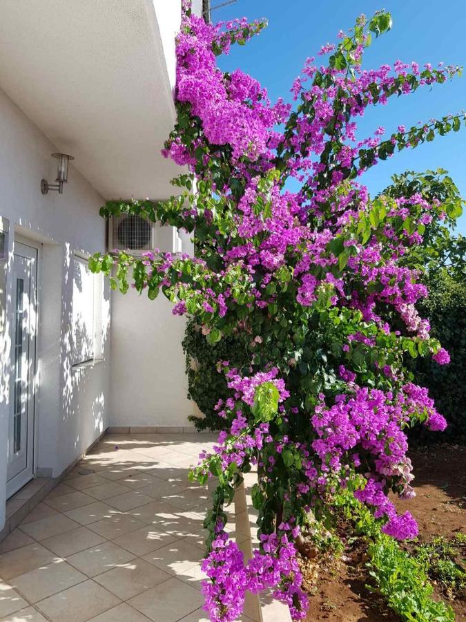 Bugenvilija Apartment Šibenik Exteriér fotografie
